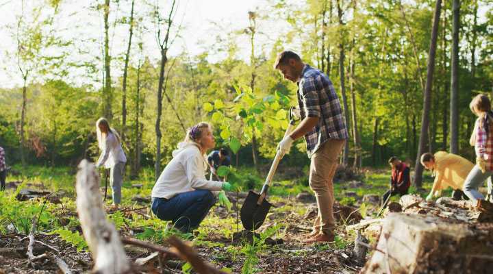 How To Reduce Your Carbon Footprint When Working From Home And Onsite