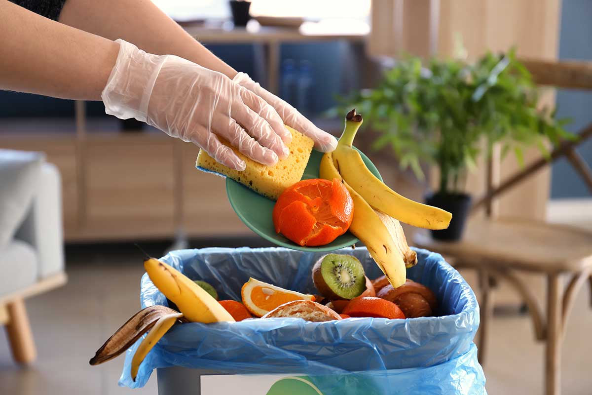 Weekly Food Waste Changes: Supporting Successful Council Communication